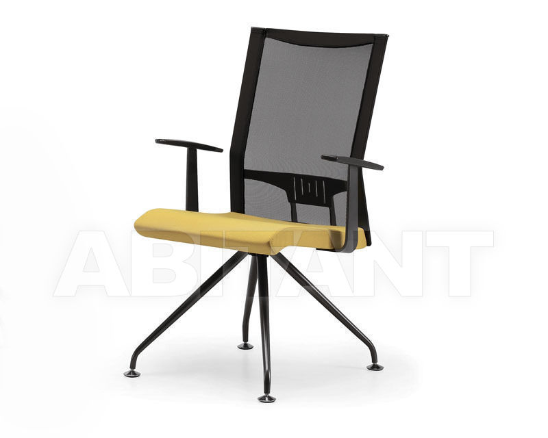 Buy Armchair Avianet Talin 2015 3648