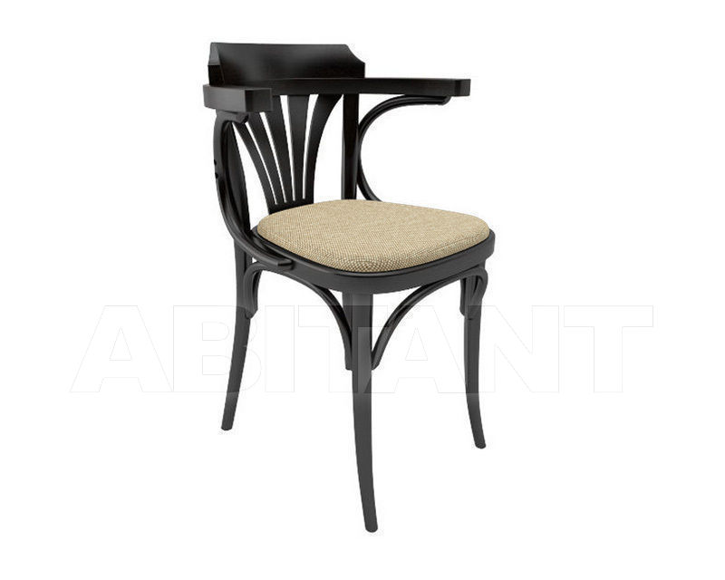 Buy Armchair TON a.s. 2015 323 024 725