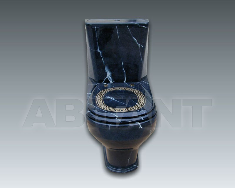 Buy Floor mounted toilet NEW SEAT MONOBLOC Watergame Company 2015 WC903F3 WC999F3+WCD004F2