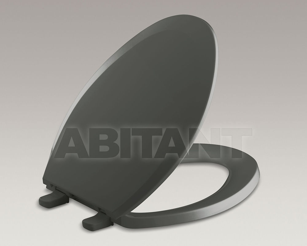 Buy Toilet seat Lustra Quick-Release Kohler 2015 K-4652-58