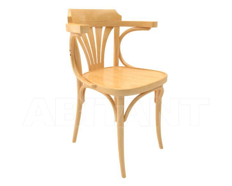 Buy Armchair TON a.s. 2015 321 024 B 116