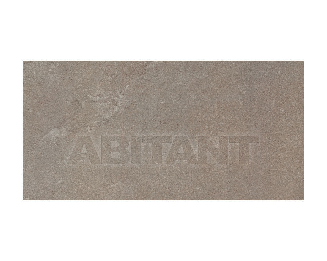 Buy Tile Cerdomus Pietra di Borgogna 37156