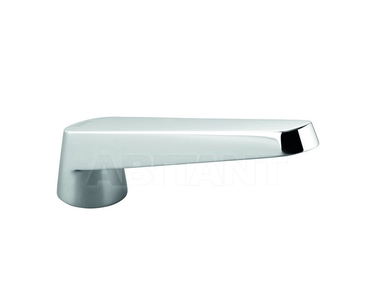 Buy Spout Dornbracht Selv 13 502 840-00
