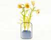 Vase Specimen Editions Specimen_LitehouseAgency Weight. Contemporary / Modern