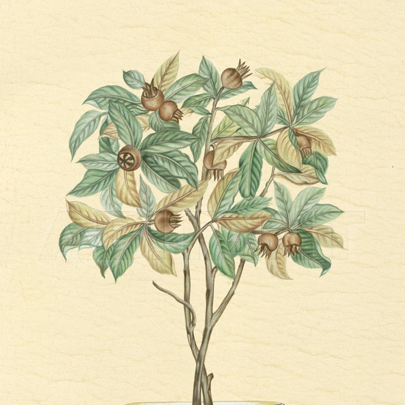 Photo wallpaper Iznik Bonsais IZB 10 price on request Buy Photo wallpaper Iksel Iznik Bonsais IZB 10