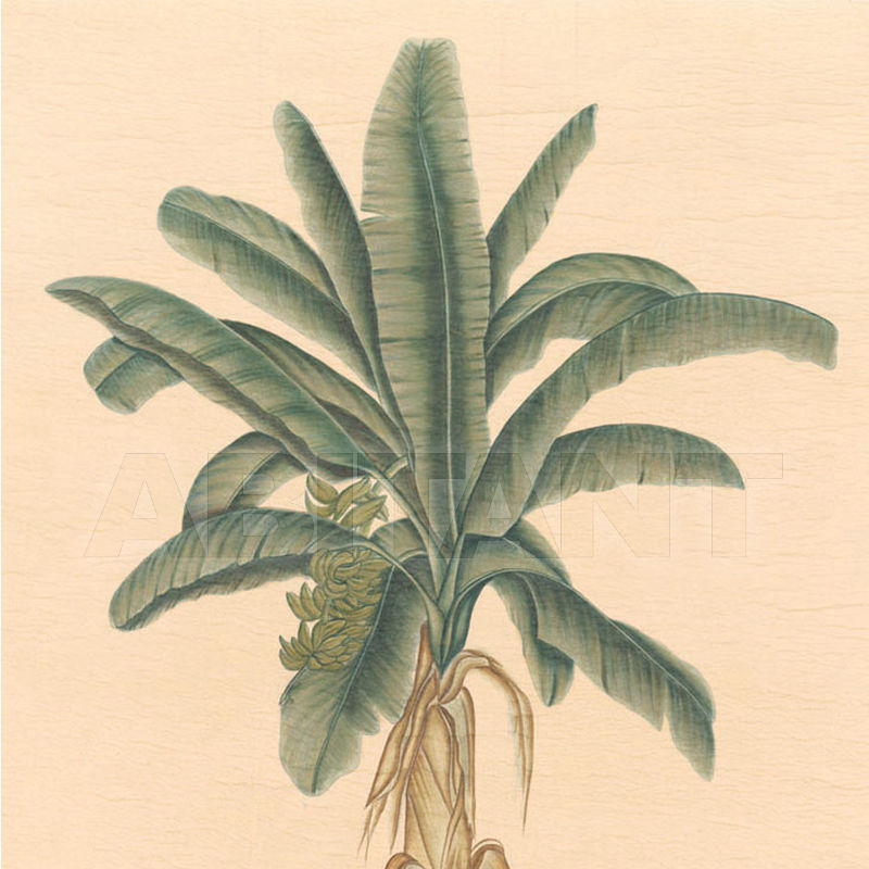 Wallpaper Potted Palms PT 16 price on request Buy Wallpaper Iksel Potted Palms PT 16