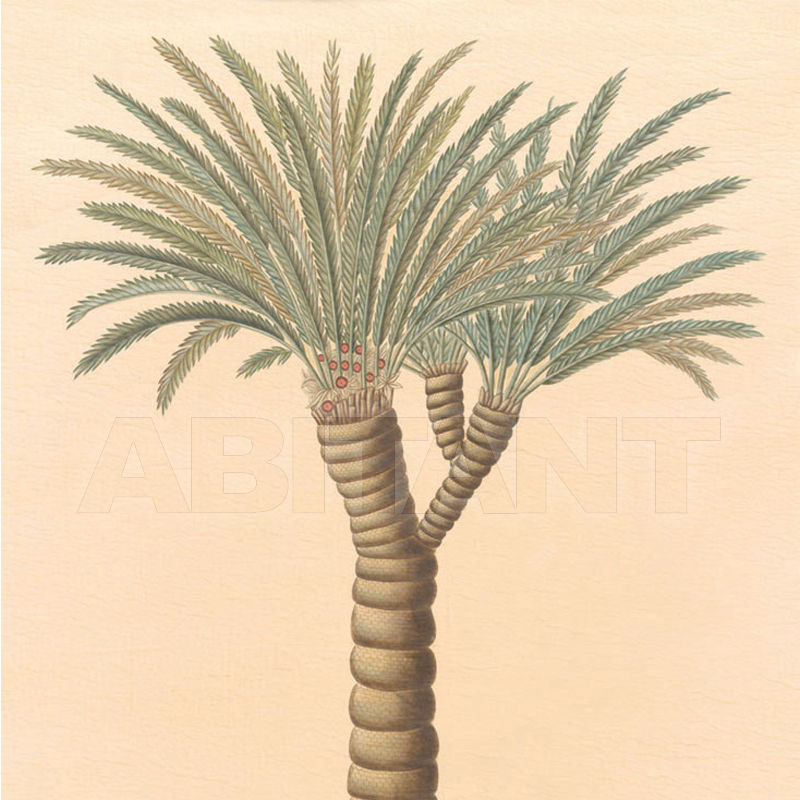 Buy Wallpaper Iksel   Potted Palms PT 17