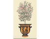 Wallpaper Iksel   Potted Palms Rosebush in Crater Oriental / Japanese / Chinese