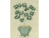 Wallpaper Iksel   Celadon Pots CEL 2 Oriental / Japanese / Chinese