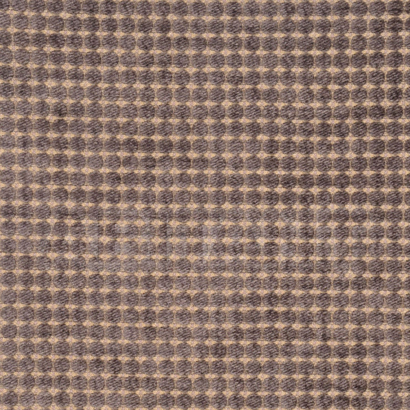 Buy Interior fabric Vervain Barry Dixon SPECIAL PANDA CANDY