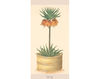 Wallpaper Iksel   Potted Flowers PF 21 Oriental / Japanese / Chinese