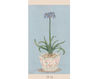 Wallpaper Iksel   Potted Flowers PF 24 Oriental / Japanese / Chinese
