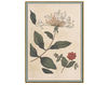 Wallpaper Renaissance Herbier RH 1 Dark green Wallpaper Iksel Renaissance Herbier RH 1 Oriental / Japanese / Chinese