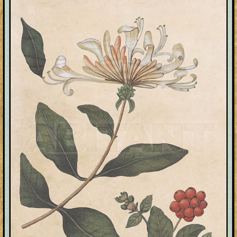 Wallpaper Renaissance Herbier RH 1 price on request Buy Wallpaper Iksel Renaissance Herbier RH 1