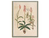 Wallpaper Iksel   Renaissance Herbier RH 6 Oriental / Japanese / Chinese