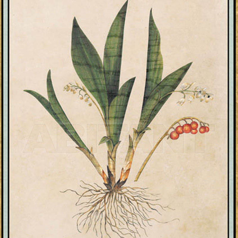 Wallpaper Renaissance Herbier RH 8 price on request Buy Wallpaper Iksel Renaissance Herbier RH 8