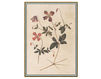 Wallpaper Renaissance Herbier RH 33 Light beige Wallpaper Iksel Renaissance Herbier RH 33 Oriental / Japanese / Chinese