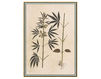 Wallpaper Iksel   Renaissance Herbier RH 30 Oriental / Japanese / Chinese