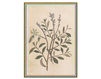 Wallpaper Iksel   Renaissance Herbier RH 31 Oriental / Japanese / Chinese