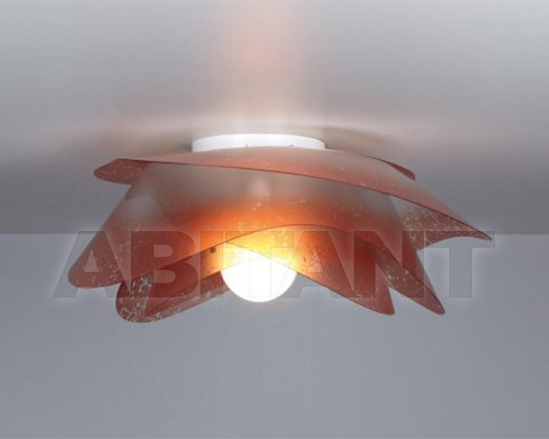 Buy Light ROSA Emporium  CL 479 10