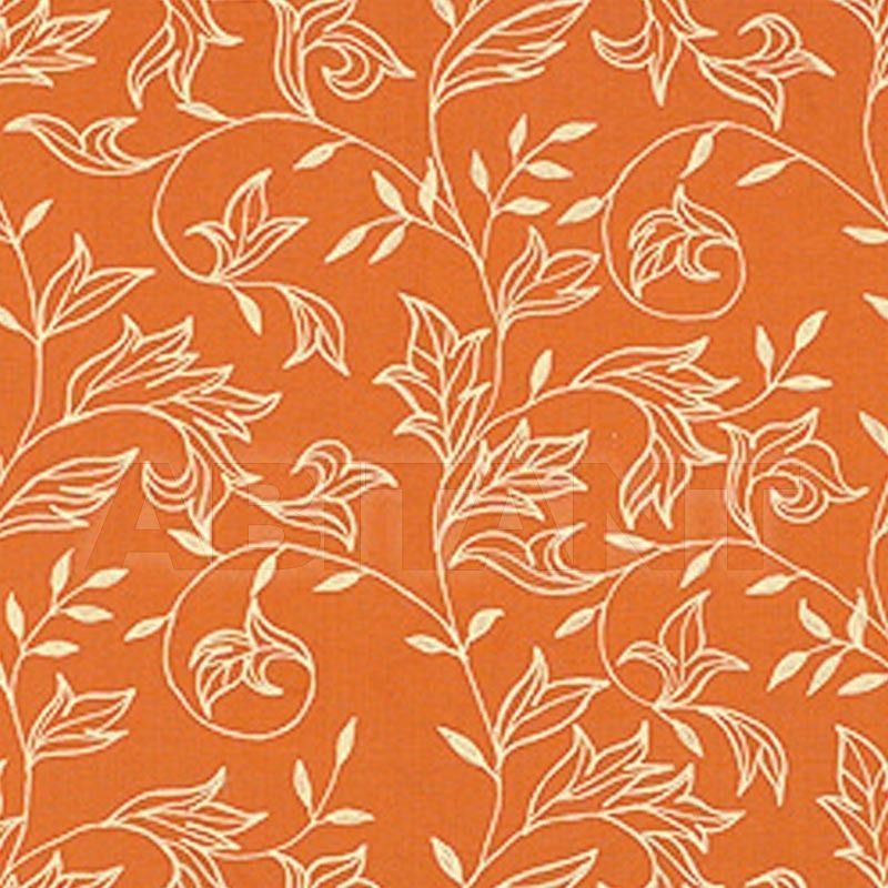 Wall mirror W88020 price on request Buy Wall mirror Thibaut Inc. Cypress Prints W88020