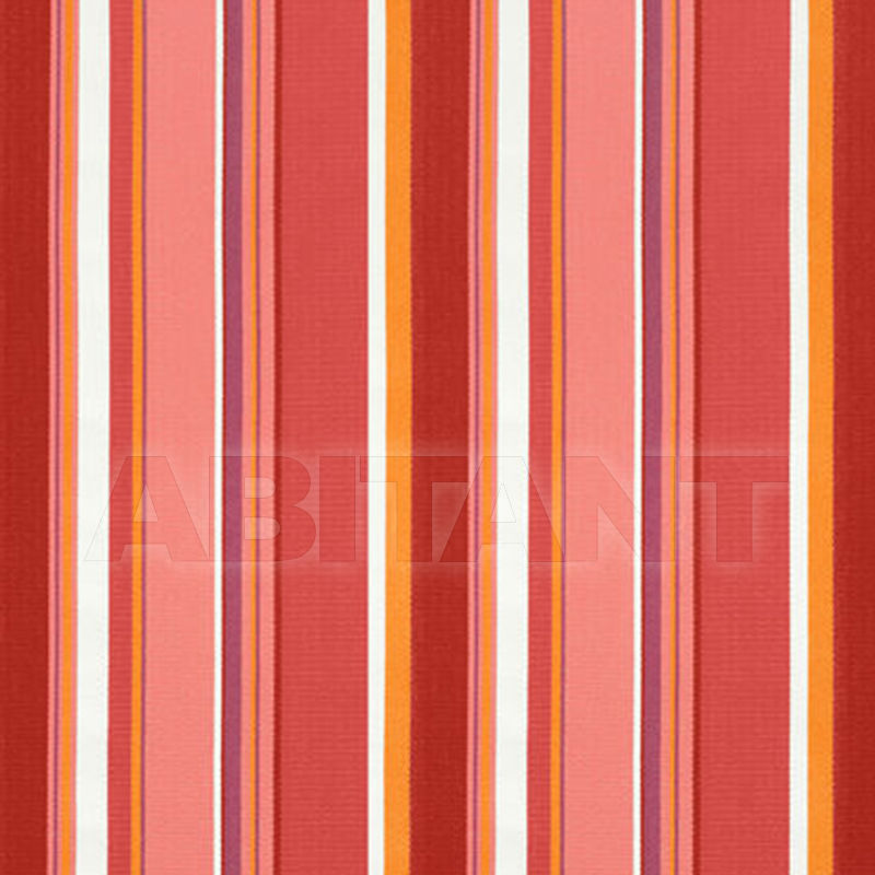 Buy Wall mirror Thibaut Inc. Resort Wovens W77996