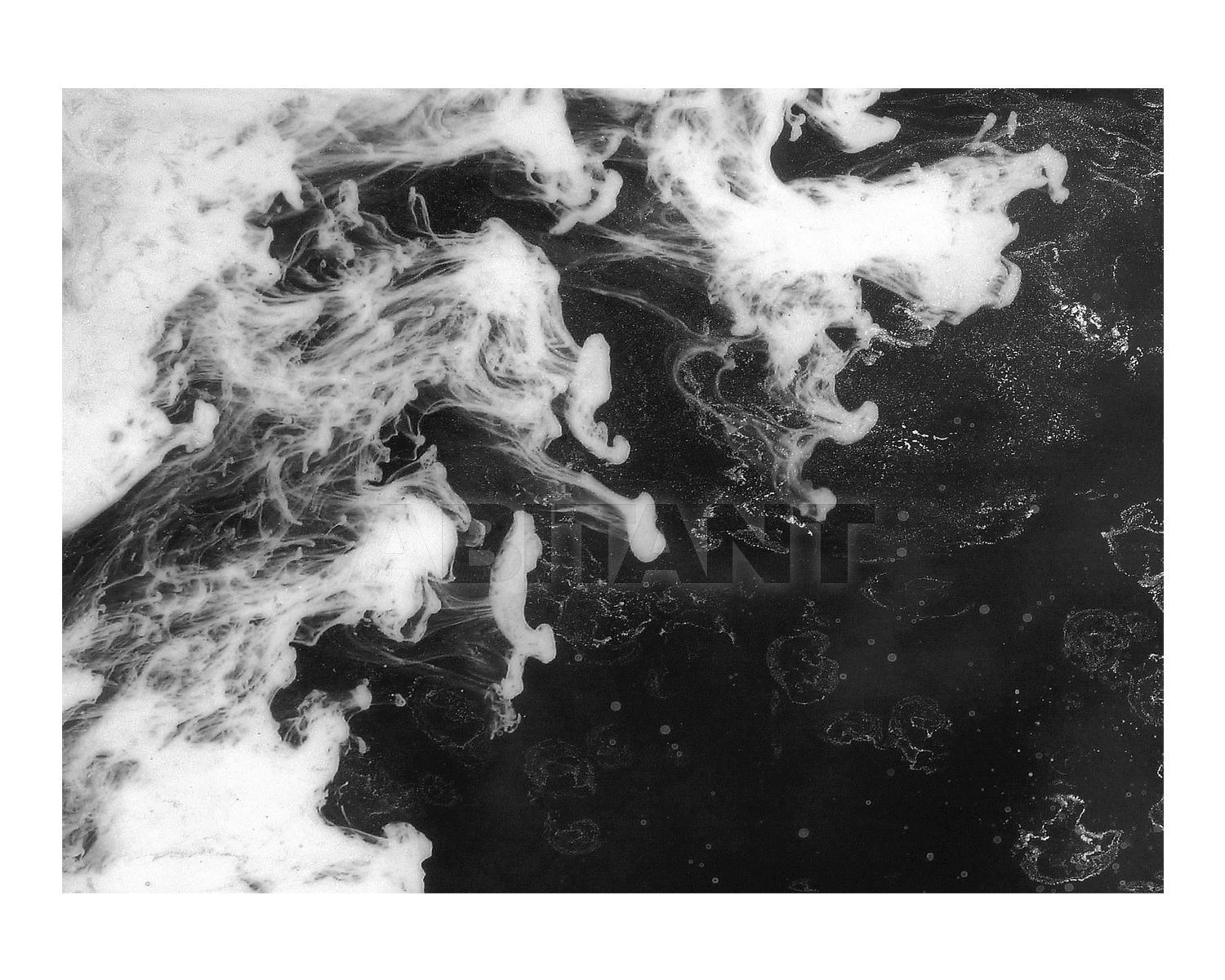 Buy Wall panel Alex Turco Liquid Dreams Black souls