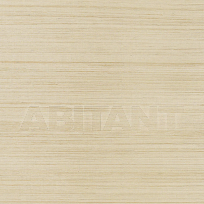 Buy Paper wallpaper WINDWARD SISAL Thibaut Inc. Grasscloth Resource 2 T3664