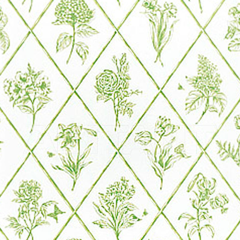 Buy Wallpaper POSY Thibaut Inc. Toile Resource 2 T9762