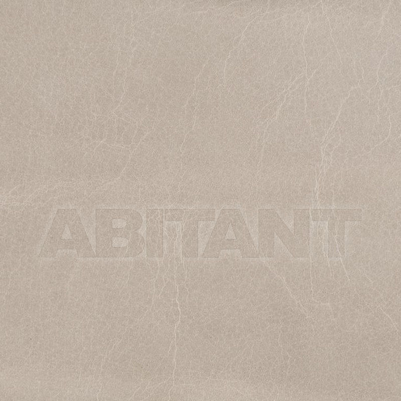 Buy Upholstery Kravet FABRICS L-BADEN CEMENT