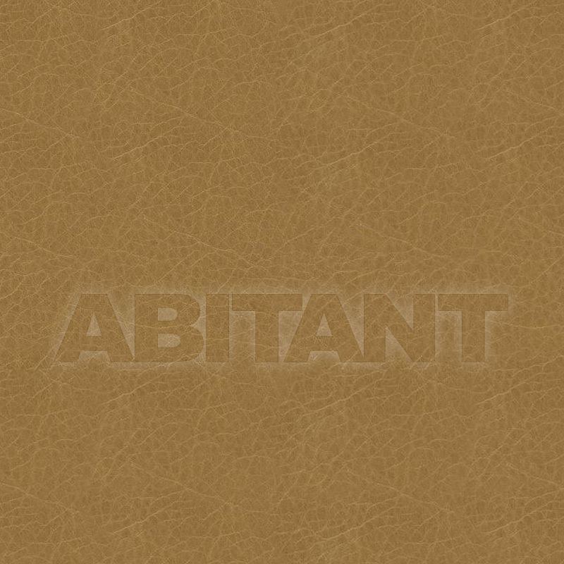 Buy Upholstery Kravet FABRICS L-TRAIL CAMEL