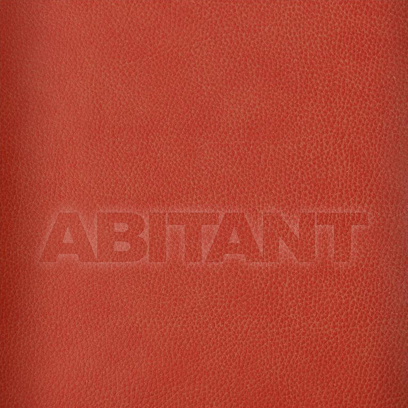 Buy Upholstery Kravet FABRICS LORIS 124