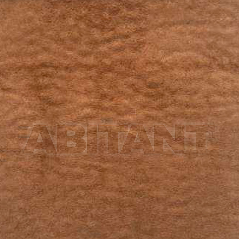 Buy Interior fabric  Halley NOTRE DAME E 75301