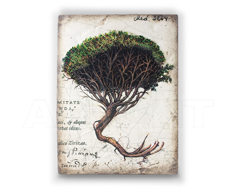 Buy Wall tile Sid Dickens Inc 2017 T-388