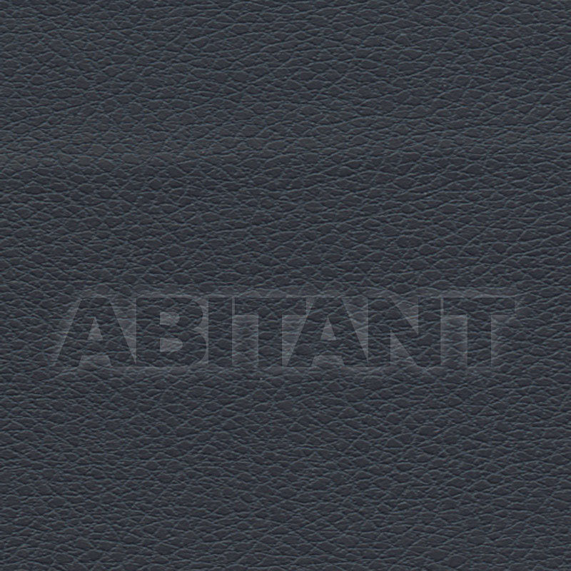 Buy Interior fabric  BRISA F. Schumacher & Co. FABRICS 303-2683