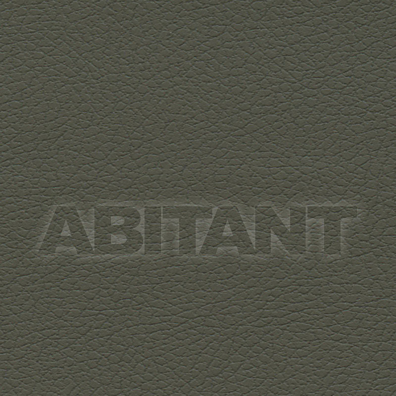 Buy Interior fabric  BRISA F. Schumacher & Co. FABRICS 303-4488