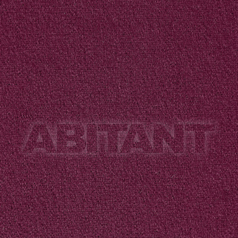 Buy Interior fabric  SAN CARLO MOHAIR VELVET F. Schumacher & Co. FABRICS 64862