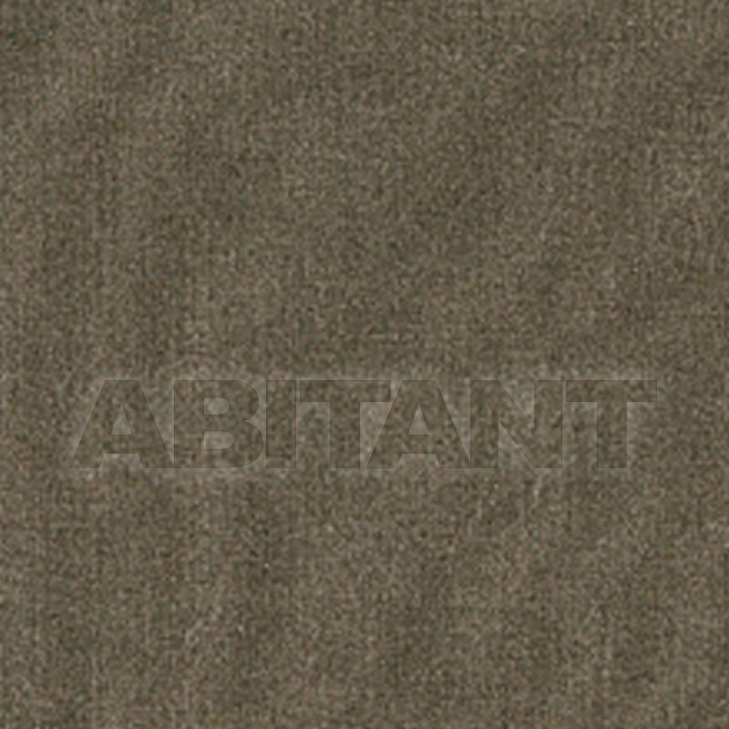 Upholstery URBAN RIDER TOASTED ALMOND price on request Buy Upholstery Taylor King FABRICS URBAN RIDER TOASTED ALMOND