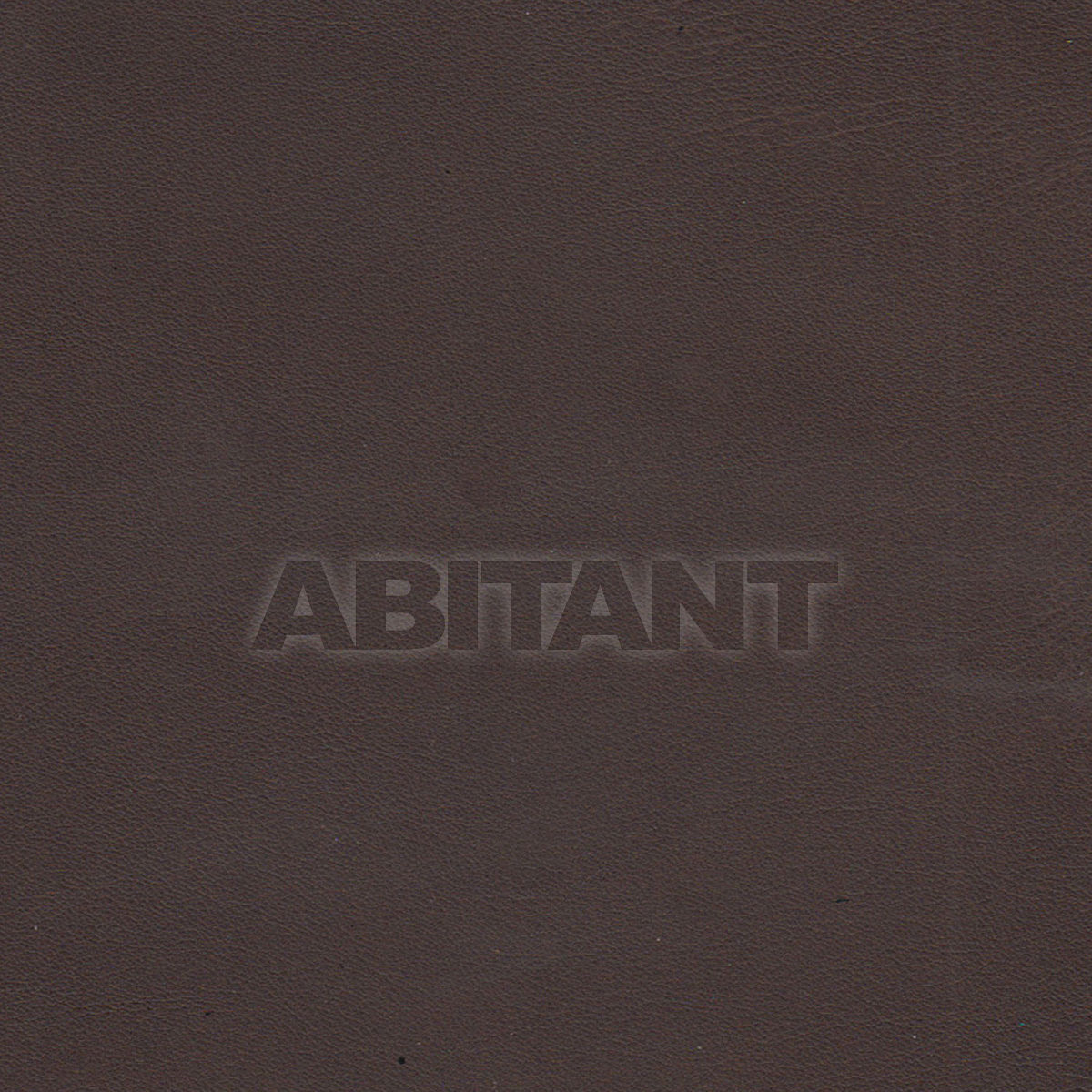 Upholstery GAUCHO BITTERSWEET price on request Buy Upholstery Taylor King LEATHERS GAUCHO BITTERSWEET