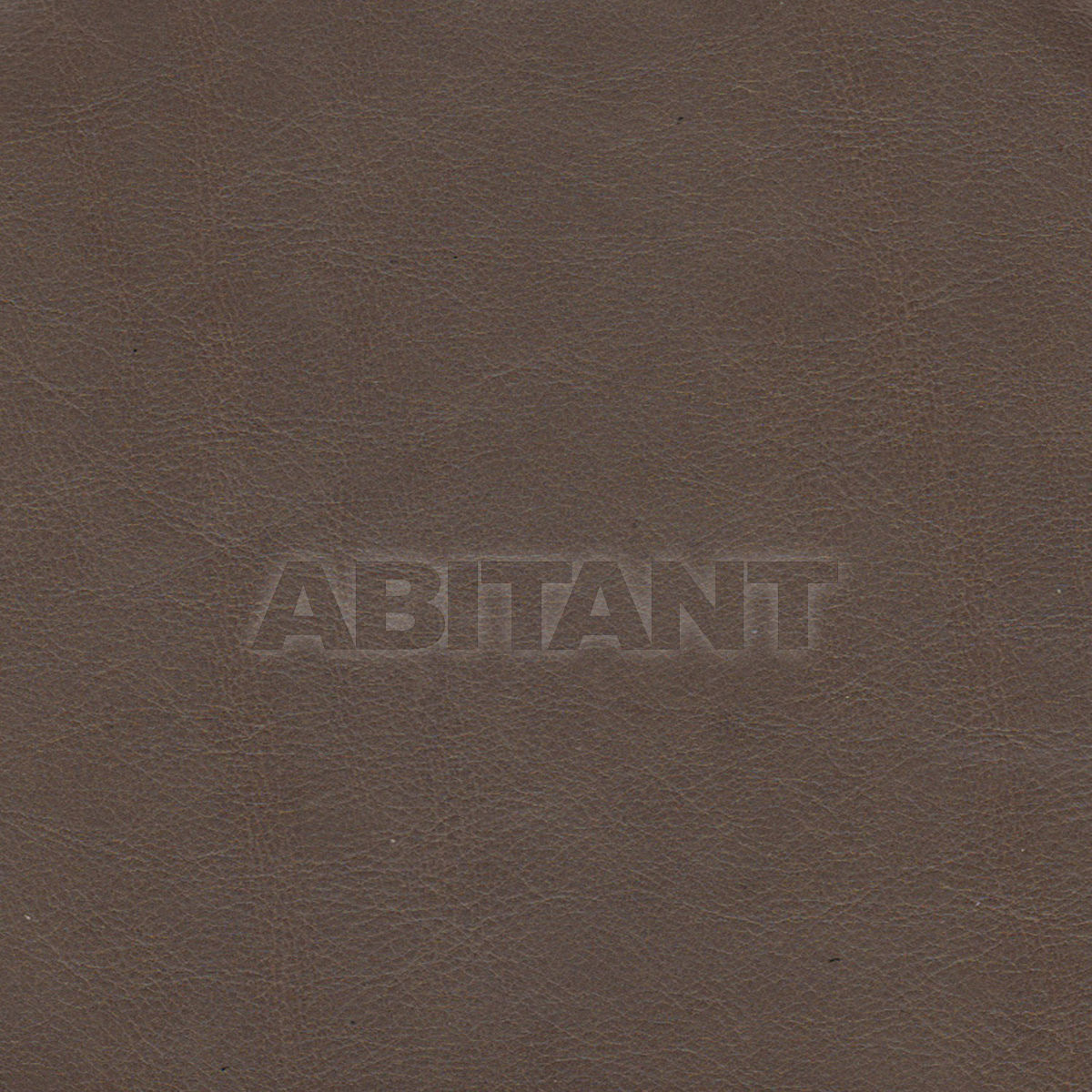 Upholstery PERSPECTIVE GREY price on request Buy Upholstery Taylor King LEATHERS PERSPECTIVE GREY