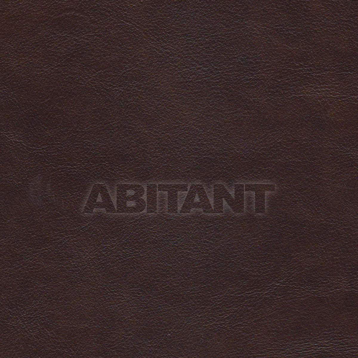 Buy Upholstery  Taylor King LEATHERS ROMANZA WALNUT