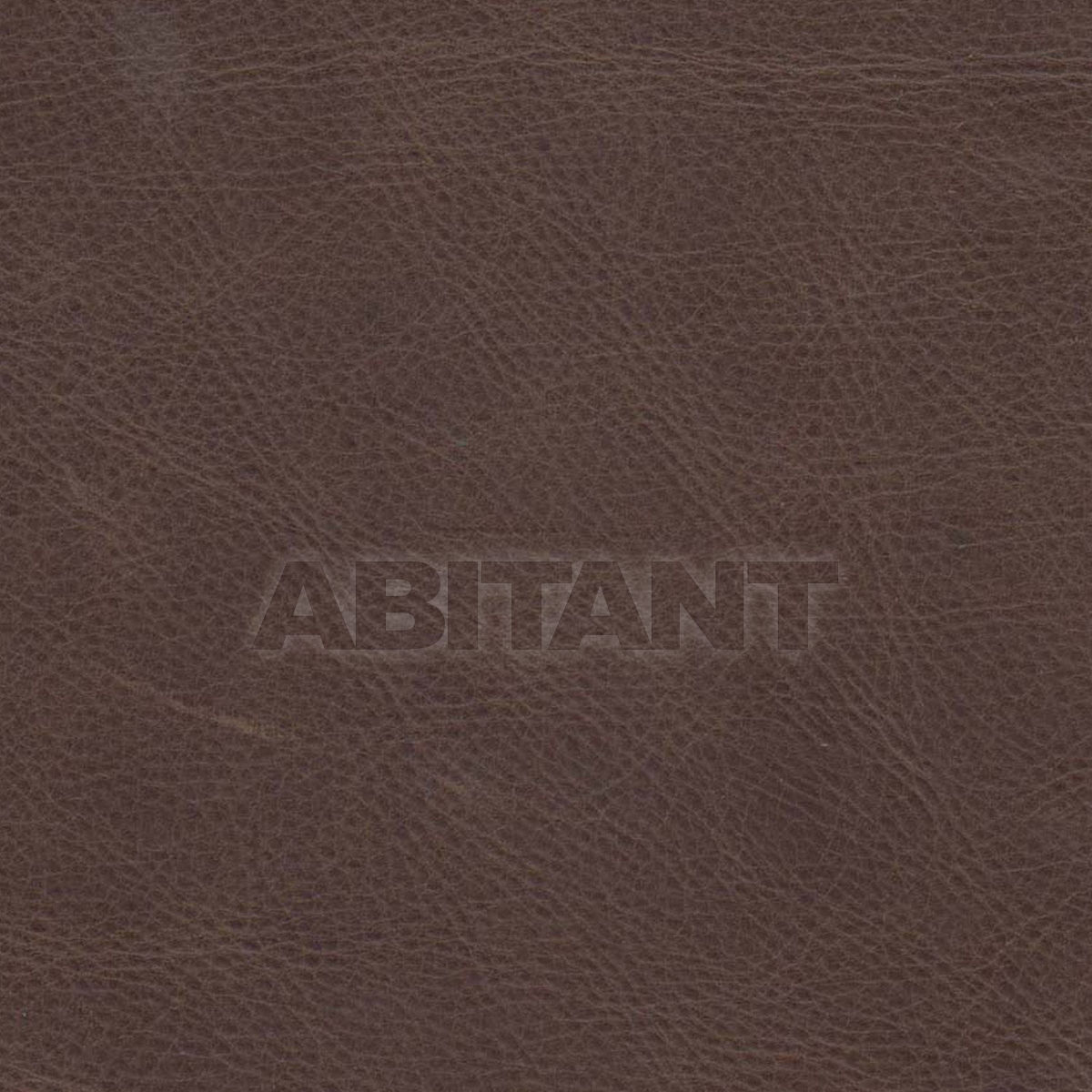 Buy Upholstery  Taylor King LEATHERS WILD WEST PRAIRIE