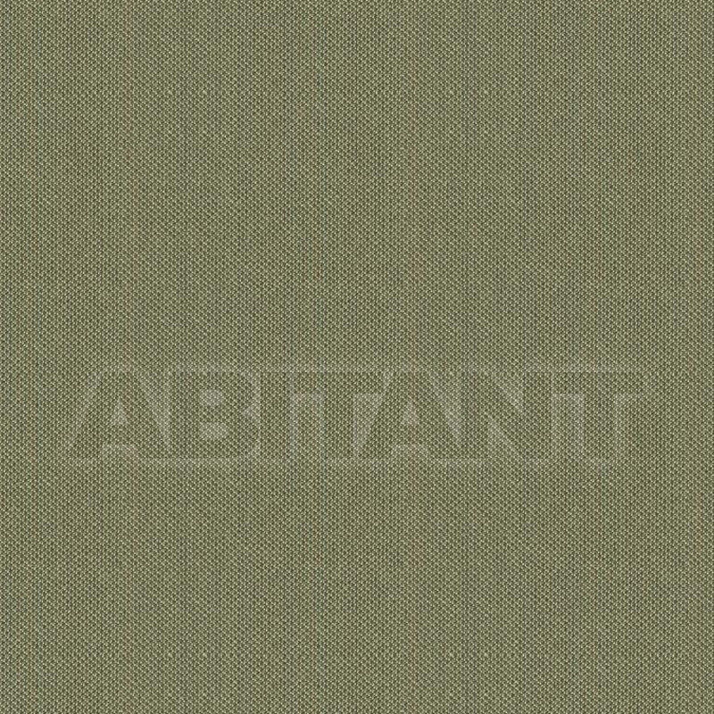 Buy Upholstery  Chaddock Fabrics, Leathers & Trims F1285-ARAB