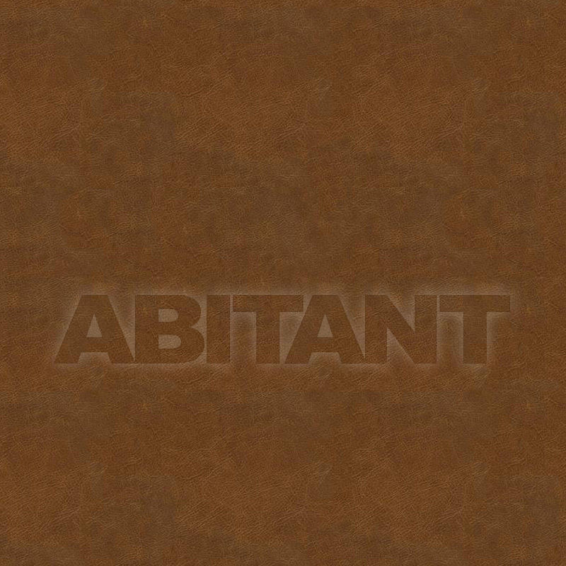 Upholstery L2217-BRNS price on request Buy Upholstery Chaddock Fabrics, Leathers & Trims L2217-BRNS