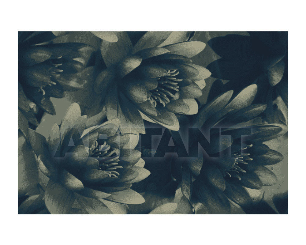 Carpeting RF52951583 price on request Buy Carpeting Ege Wall-to-wall carpets RF52951583