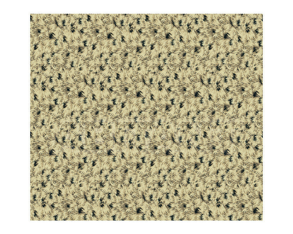 Buy Carpeting Ege  Wall-to-wall carpets RF52853296