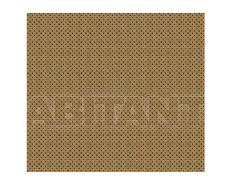 Buy Carpeting Ege  Wall-to-wall carpets RF5295725