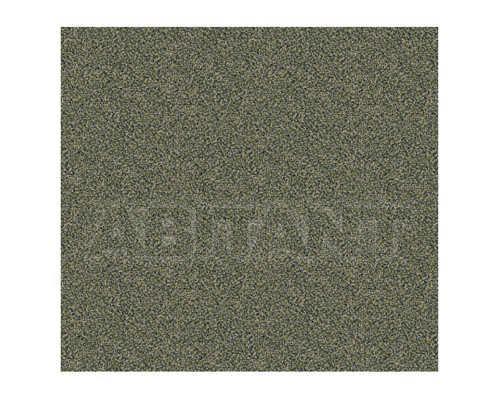 Buy Carpeting Ege  Wall-to-wall carpets RF5295609