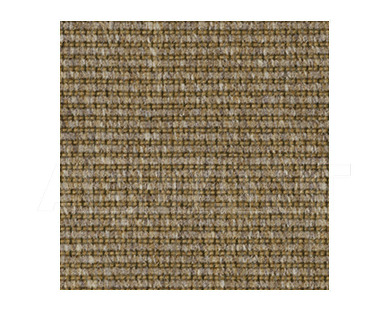 Buy Carpeting Ege  Wall-to-wall carpets 0687290
