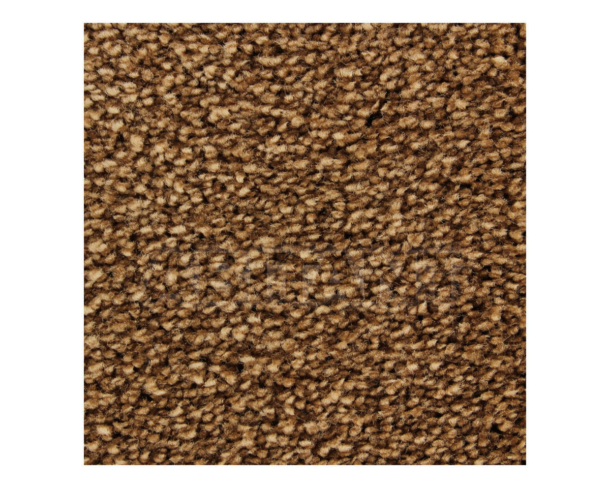 Buy Сarpeting Wild Romance Edel  2017 Wild Romance 123